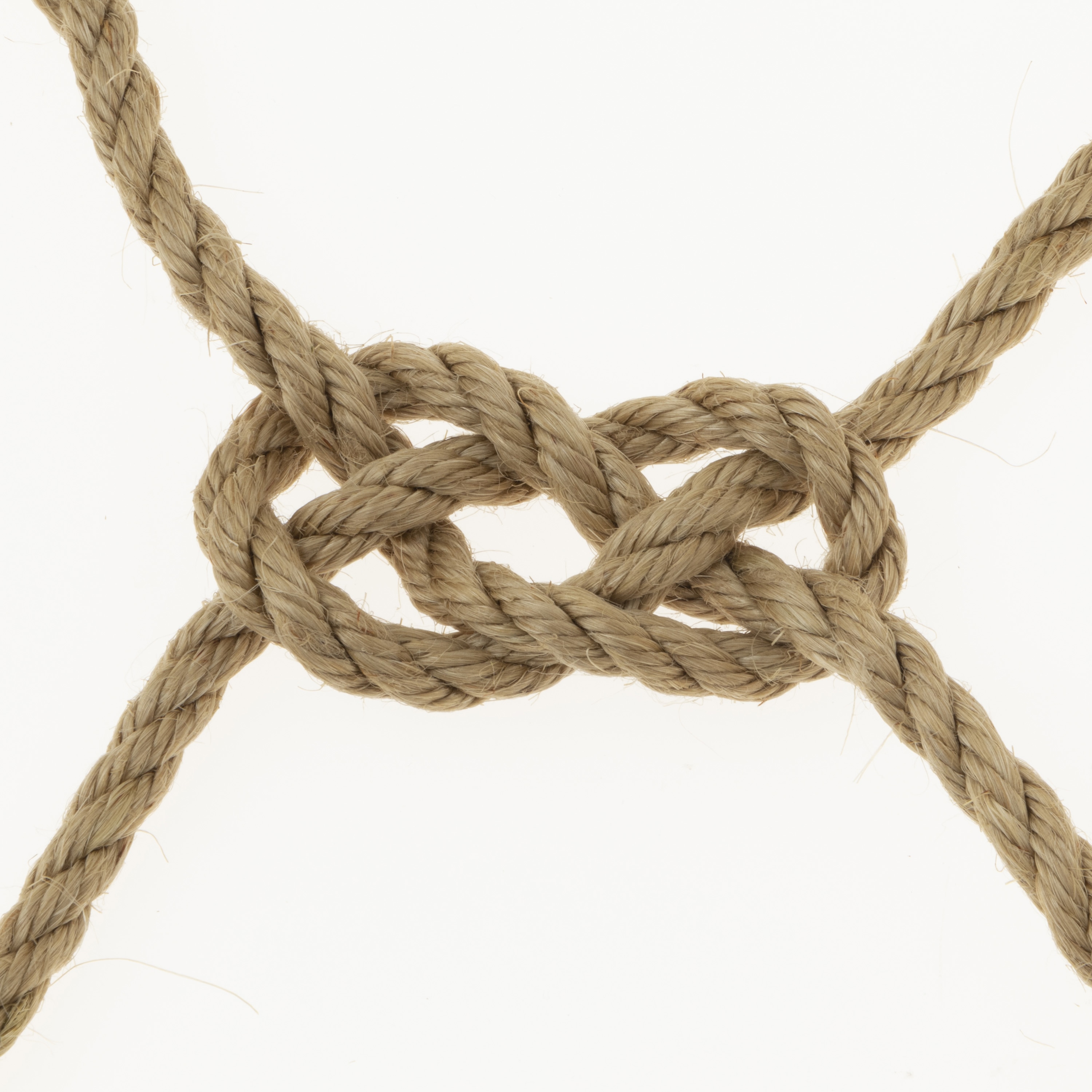 2_500x500_crop_center.jpg?v=