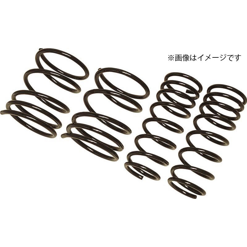 SN047A RG ダウンサス セレナ C27 E-POWER 1セット RG(レーシングギア) 【通販モノタロウ】