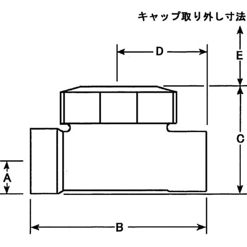 BPT13SX 15A Gタイプ バランス・プレッシャー式スチームトラップ 