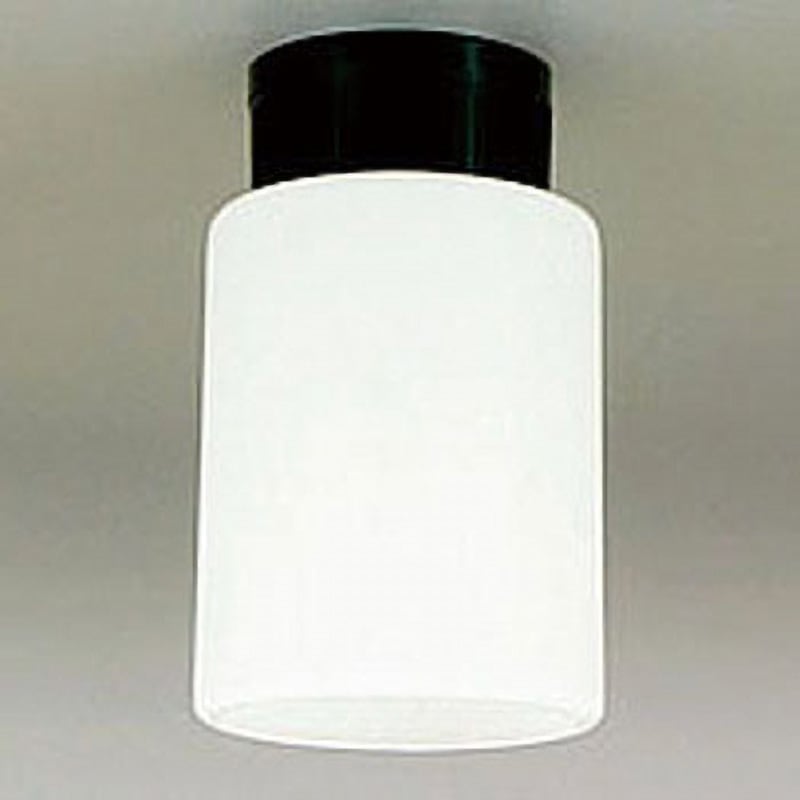 RG-100E26N 天井直付照明器具 直レセユニ(筒形小) 栄興電器 LED昼白色