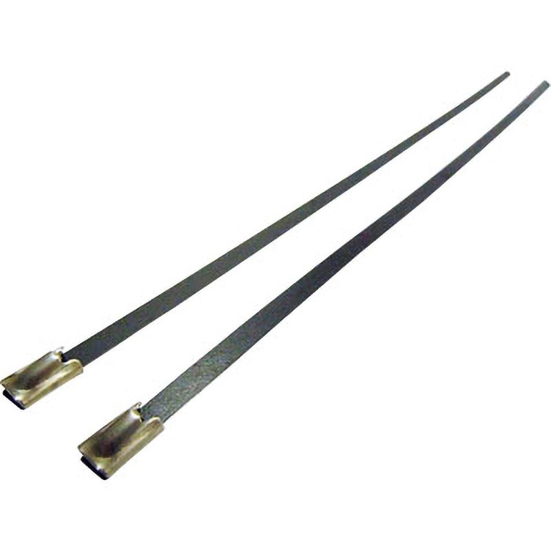 DKST-35046-316CB ステンレスバンド 1パック(100個) デンカエレクトロン 【通販モノタロウ】