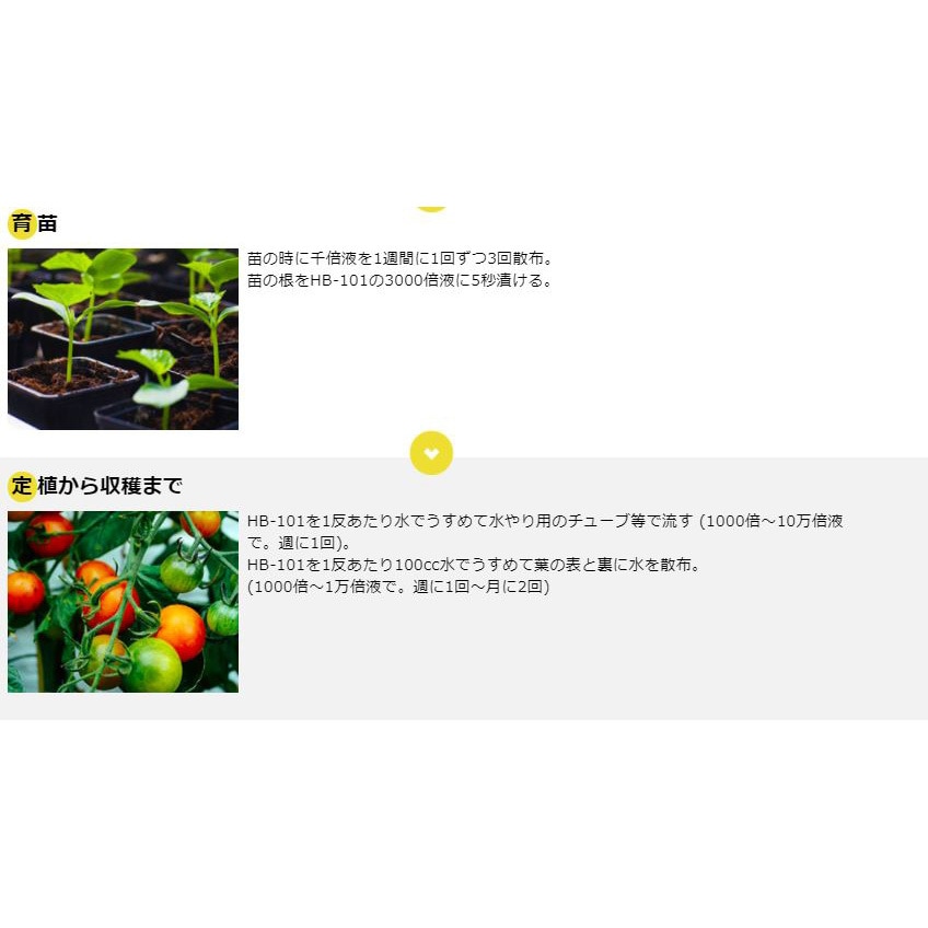 100mL 天然植物活力液 HB-101 1本(100mL) フローラ 【通販サイトMonotaRO】