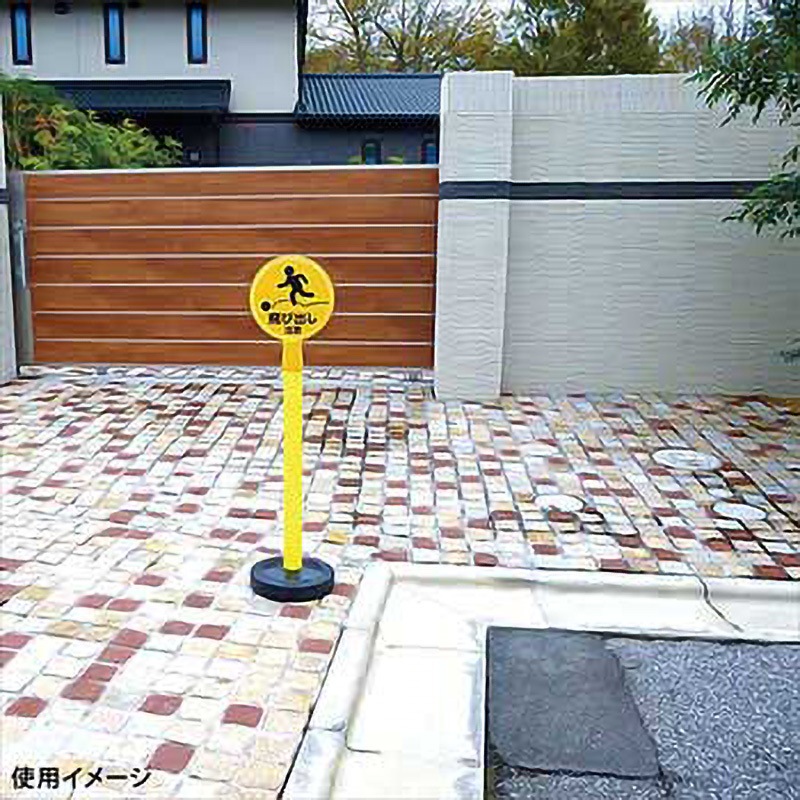 From CP キャロ サイン入り Amazon.co.jp: Lycee overture 魔王 カリン SP 1枚 箔押しサイン