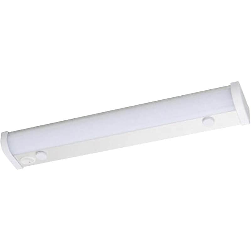 ARCH OPTICAL｜A/sp-PNT - SP｜PRODUCT｜Continuer Inc.｜メガネ