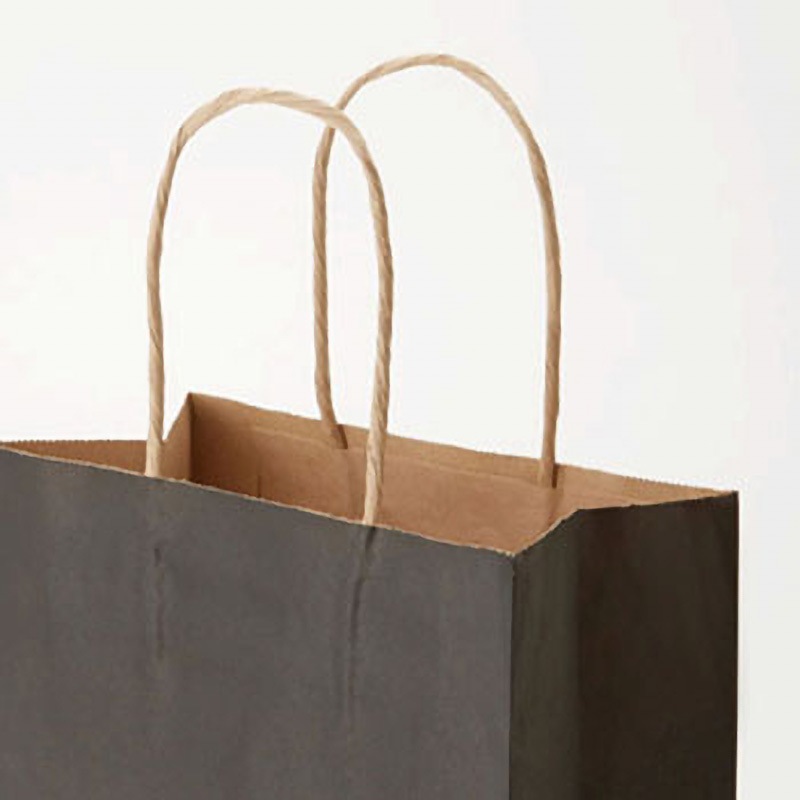 未晒 黒C 手提げ紙袋 カラー HEIKO 黒色 幅380mm奥行150mm高さ500mm 1