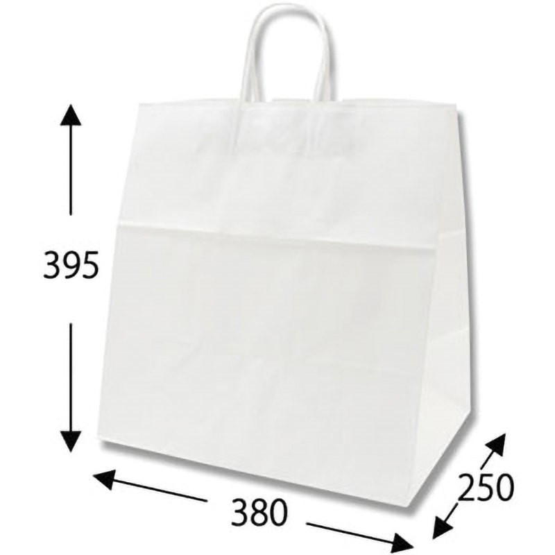 白無地 手提げ紙袋 HEIKO 白無地色 幅380mmマチ250mm高さ395mm 1