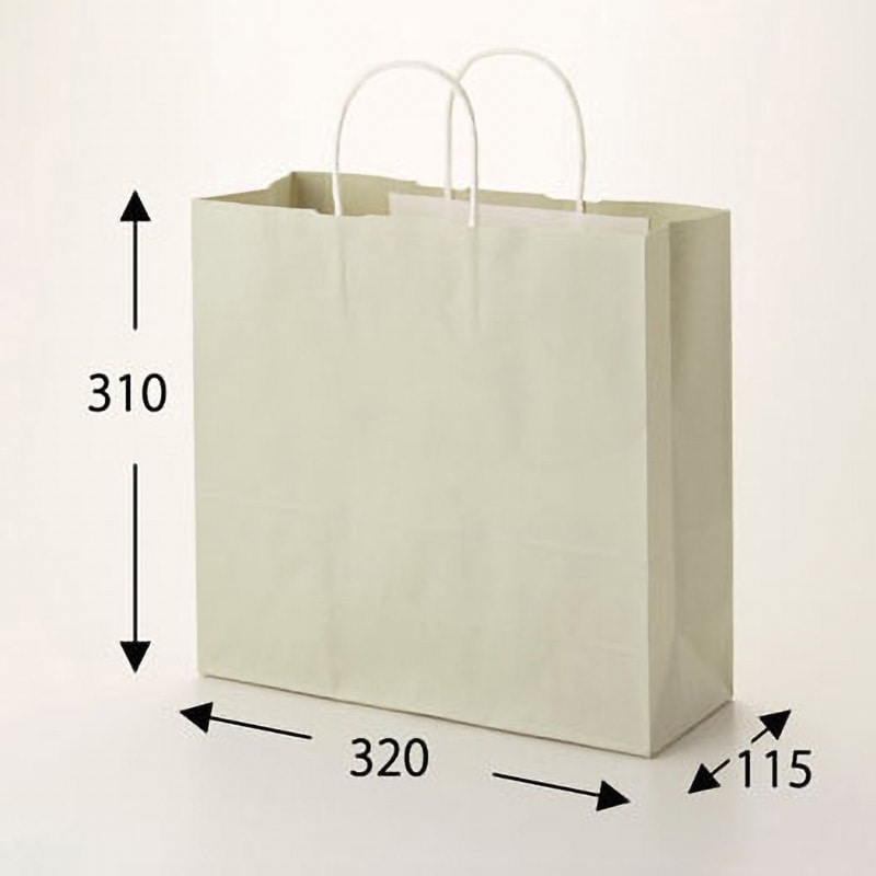 紙袋？ 特別価格】手提げ紙袋（茶・平紐・幅260×マチ100×高さ310mm） | 梱包材