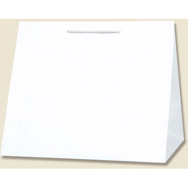 白無地 紙袋 T型チャームバッグ W3 100枚 HEIKO 白無地色 幅340mm奥行260mm 1箱(10枚×10パック)