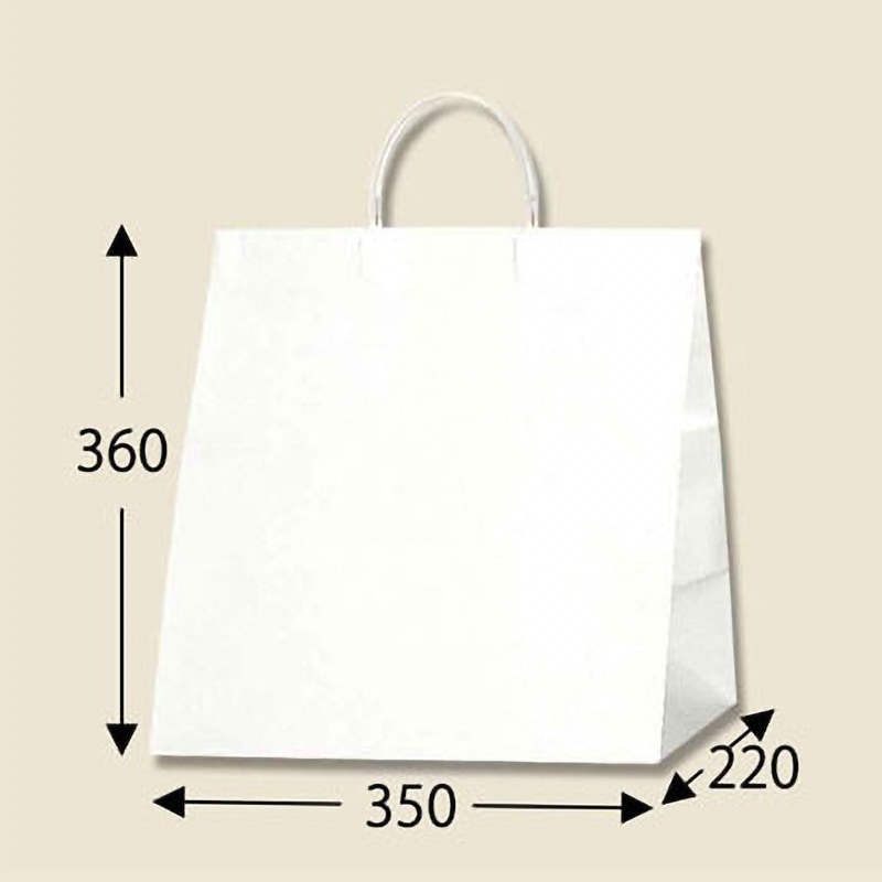 手提げ紙袋 スムース ワイドS 片艶120g 巾350mm (巾350 マチ220 高さ360 取っ手ロープ紐) 100枚 持ち帰り用紙袋 50-5700 手提げ袋 白無地 600×220×480 50P ササガワ