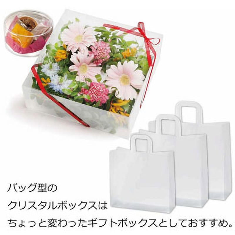 BAG L PPクリアボックス HEIKO サイズ内寸法 0.3×160×60×150mm 1 BAG L PPクリアボックス HEIKO サイズ内寸法 0.3×160×60×150mm 1