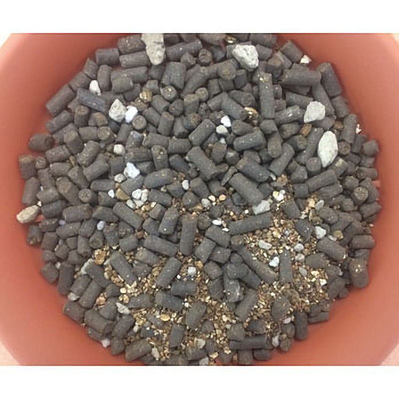 土肥金山　砂金　36粒 24K 純金　大粒有 土肥金山 砂金 24K 純金 砂金採り体験 - メルカリ