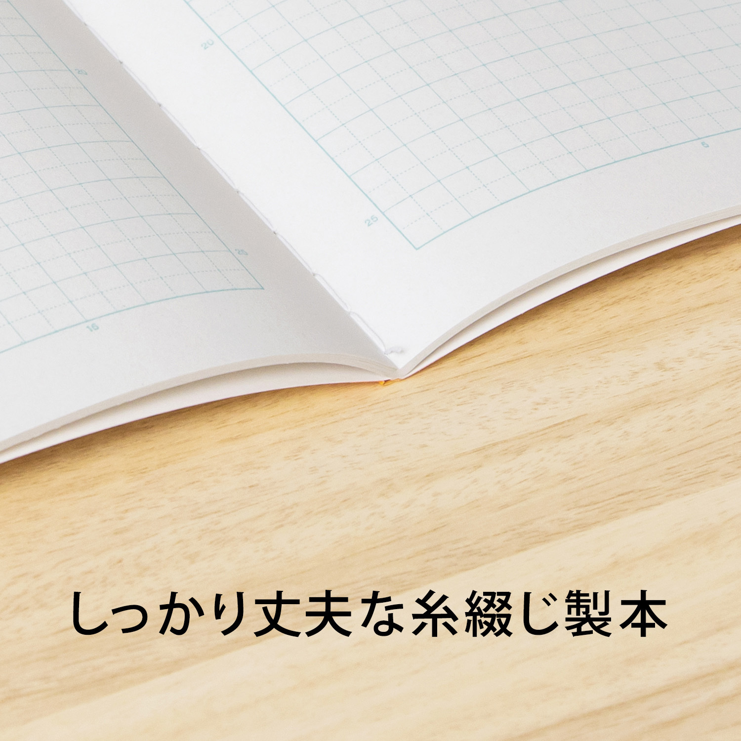 LAS10Y スクールライン A4 方眼罫ノート 日本ノート 枚数30枚 糸綴じ