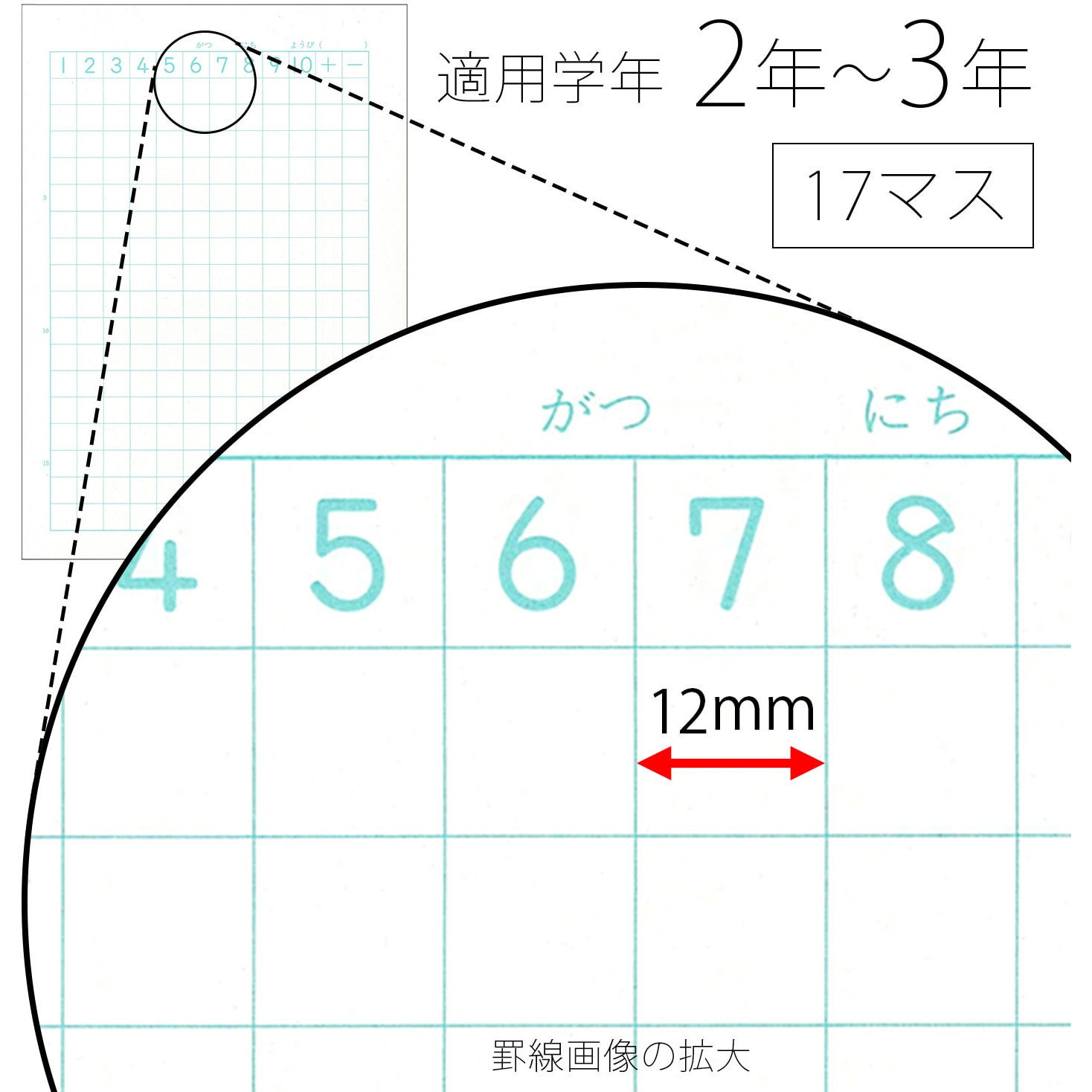 Pg 2 スヌーピー学習帳 さんすう 17マス 日本ノート セミb5 算数 対象 2年 3年 Pg 2 1冊 通販モノタロウ