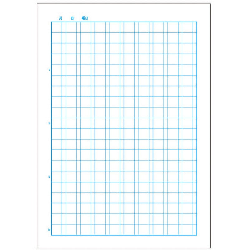 LM52 スクールノート B5 特殊罫 日本ノート 枚数30枚 ブルー 糸綴じ