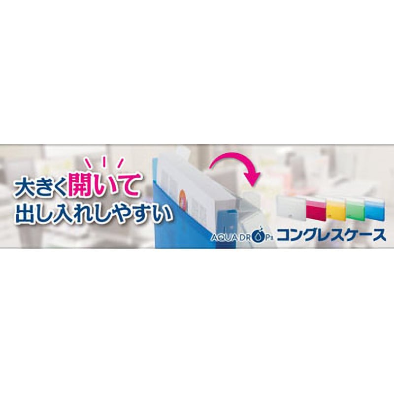 （まとめ買い）リヒトラブ コングレスケース A4 乳白 A-5024-1 【5冊セット】 まとめ）LIHITLAB コングレスケース厚型 A-5024-3 赤〔×10セット〕の通販はau PAY マーケット - 輸入雑貨のネットストア  Co.Ltd. | au PAY マーケット－通販サイト