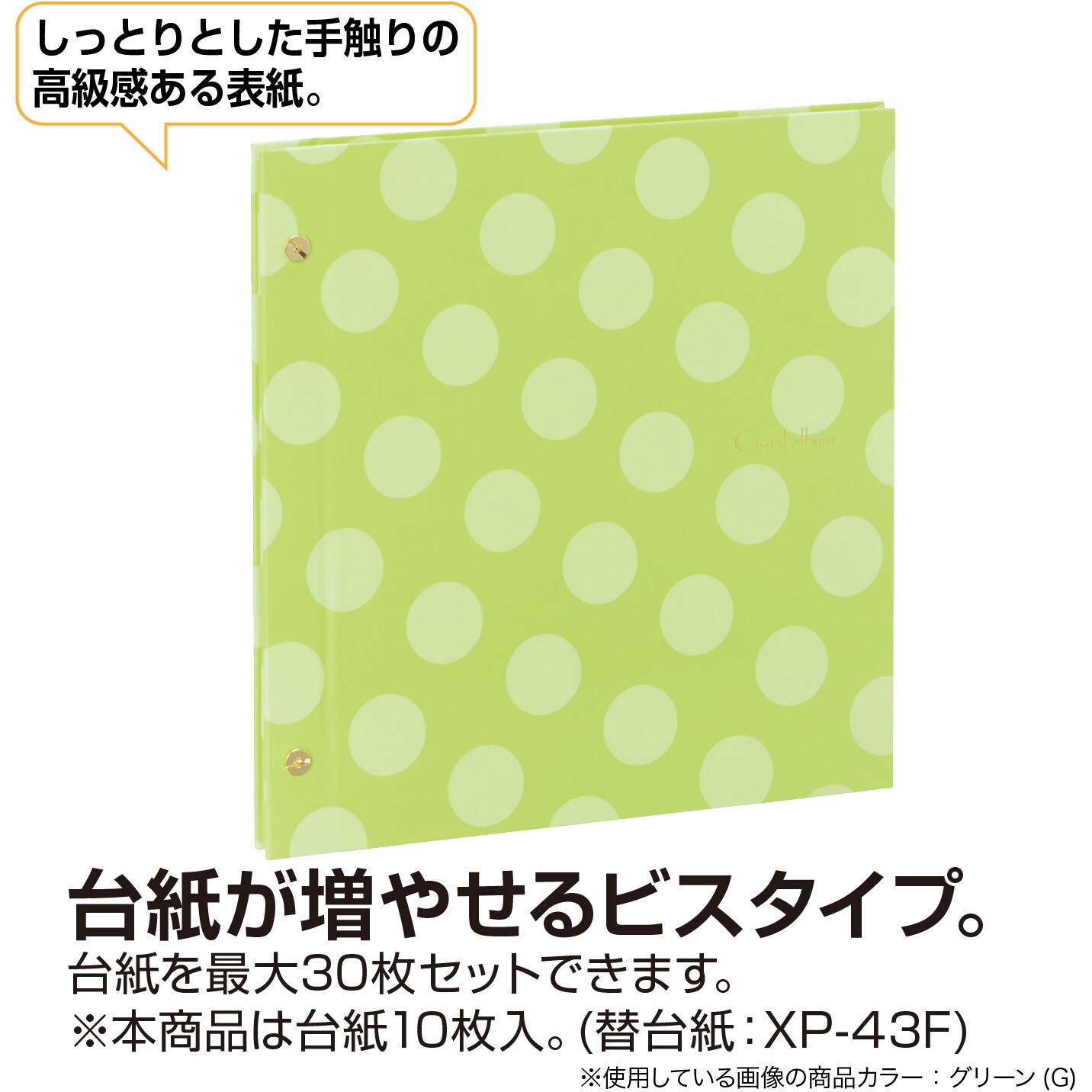 XP-4310-21 ハーパーハウス カジュアルアルバム(ドット)フリー