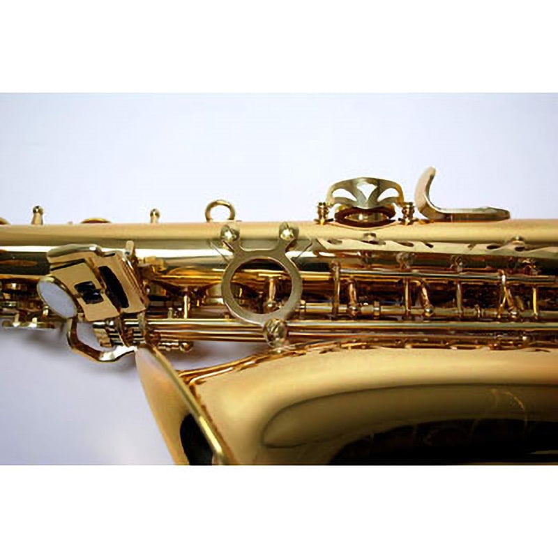 KAL-62(S.H) アルトサックス 1本 Kaerntner 【通販モノタロウ】