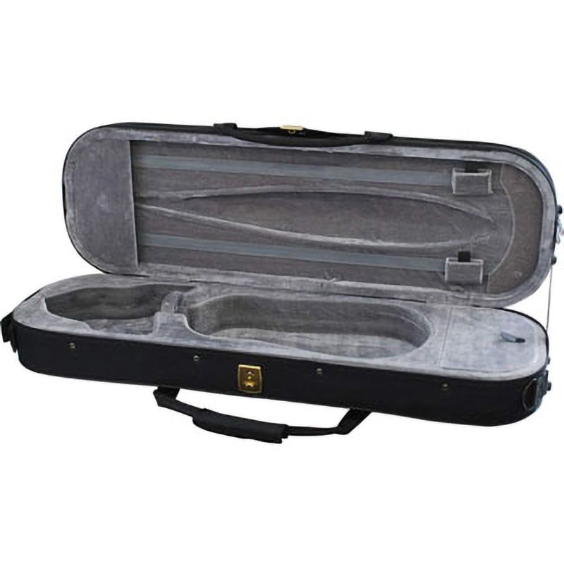 極美品 Reincarnation バイオリン rv-55 セミハードケース バイオリン