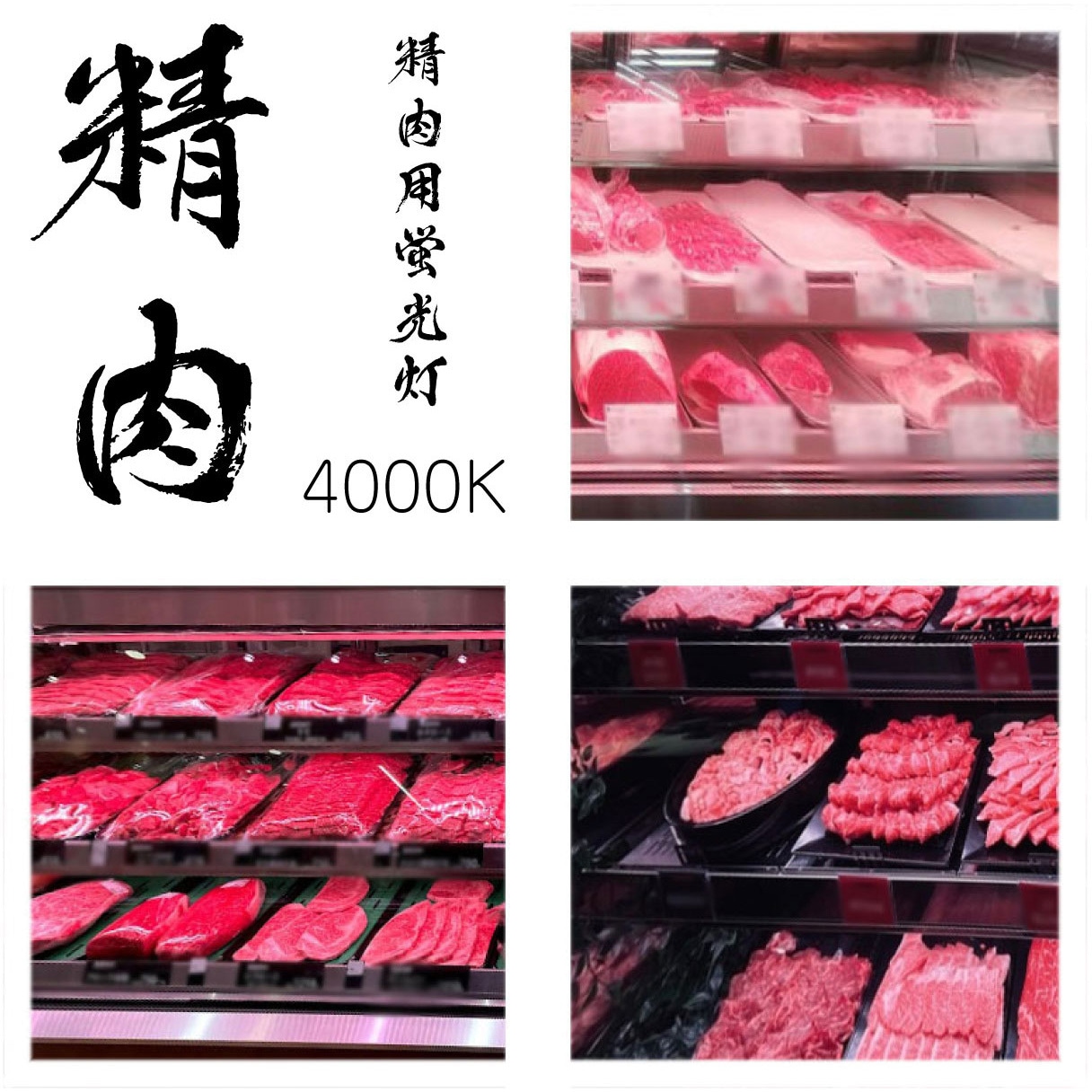 HK40N2 精肉用直管互換LEDランプ 光商事 4000K 口金G13 種別
