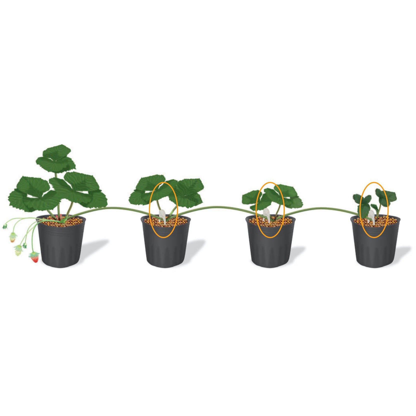 ※キャッチー出品※ Deconstructed Details Decorate The adidas Cozy ZX 8000 Chalk White