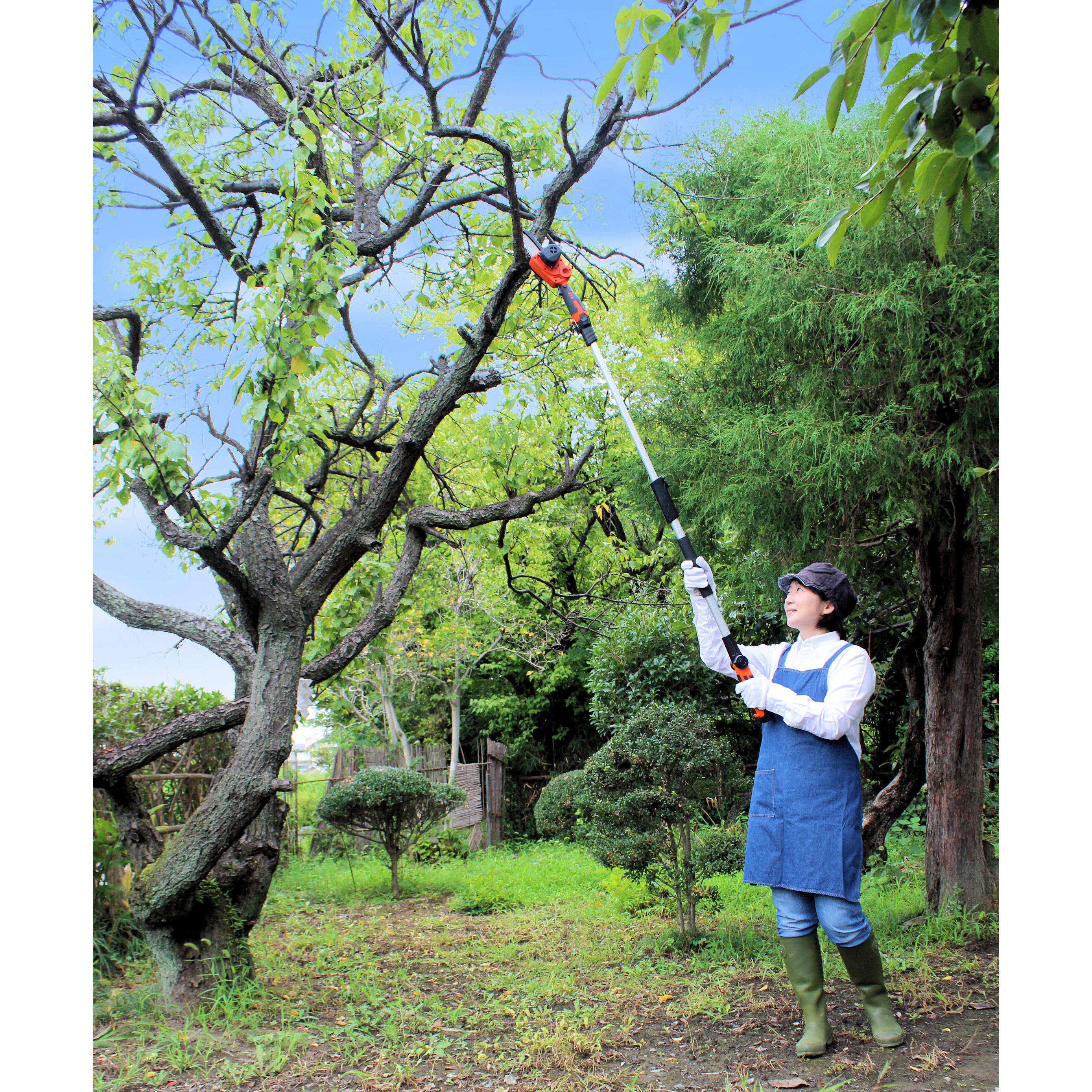 LS A10-JP 12Vコードレス 高枝チェーンソーミニ (ハンディ・高枝ポール