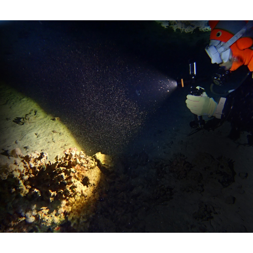 SD11 防水LEDライト FENIX(フェニックス) 黒色 保護等級IP68 1000Lm