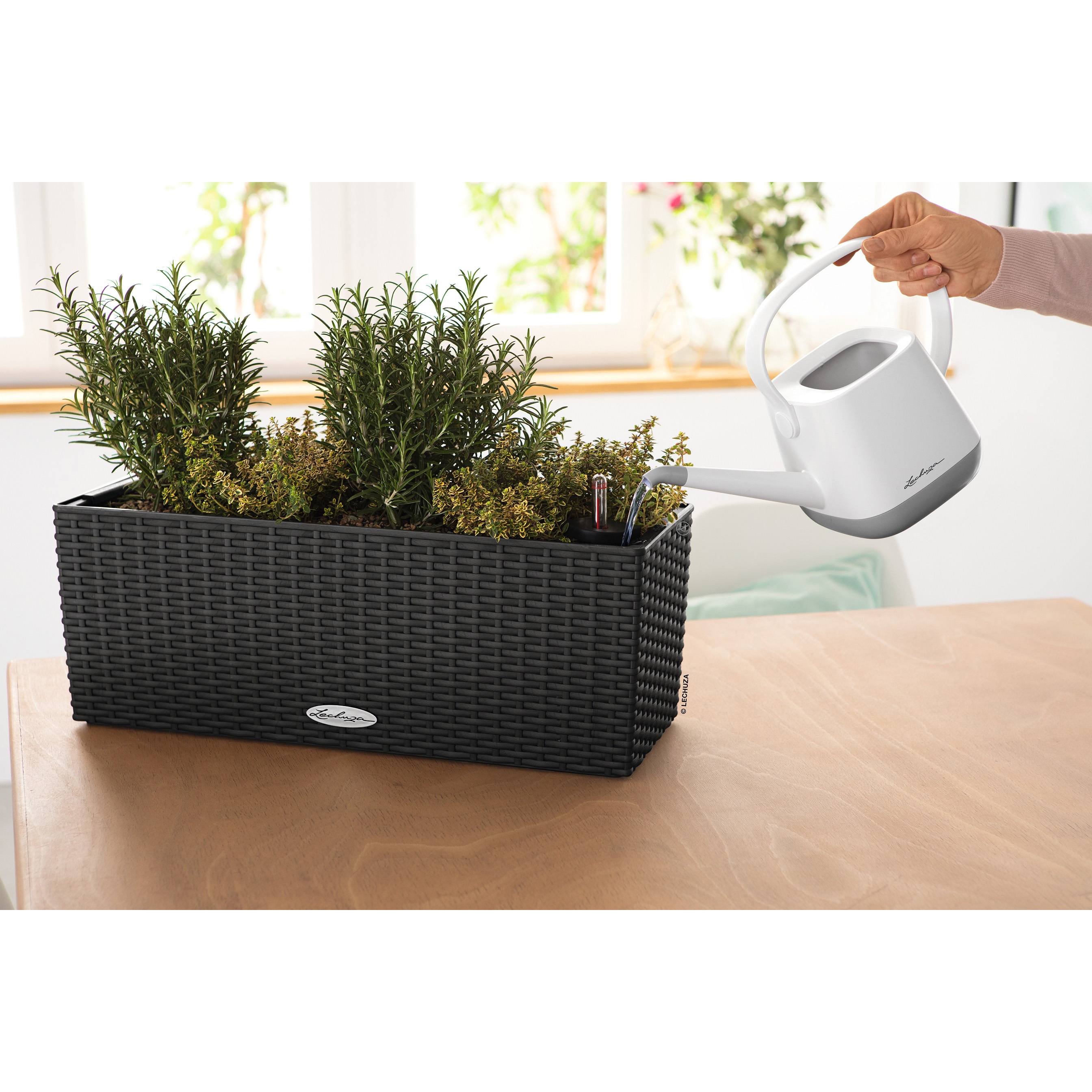 レチューザ バルコネラ プランター か*ん様 レチューザコテージバルコ