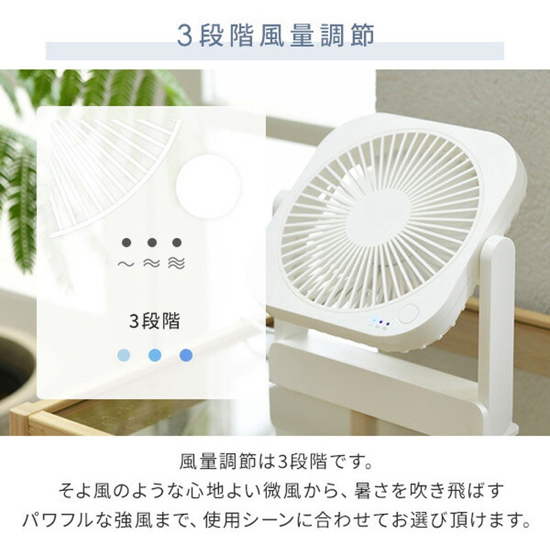 卓上扇風機 本体 白　トールペイント SF-DF18WT デスクファン TOPLAND 羽根枚数7 風量調整3段階(弱・中・強