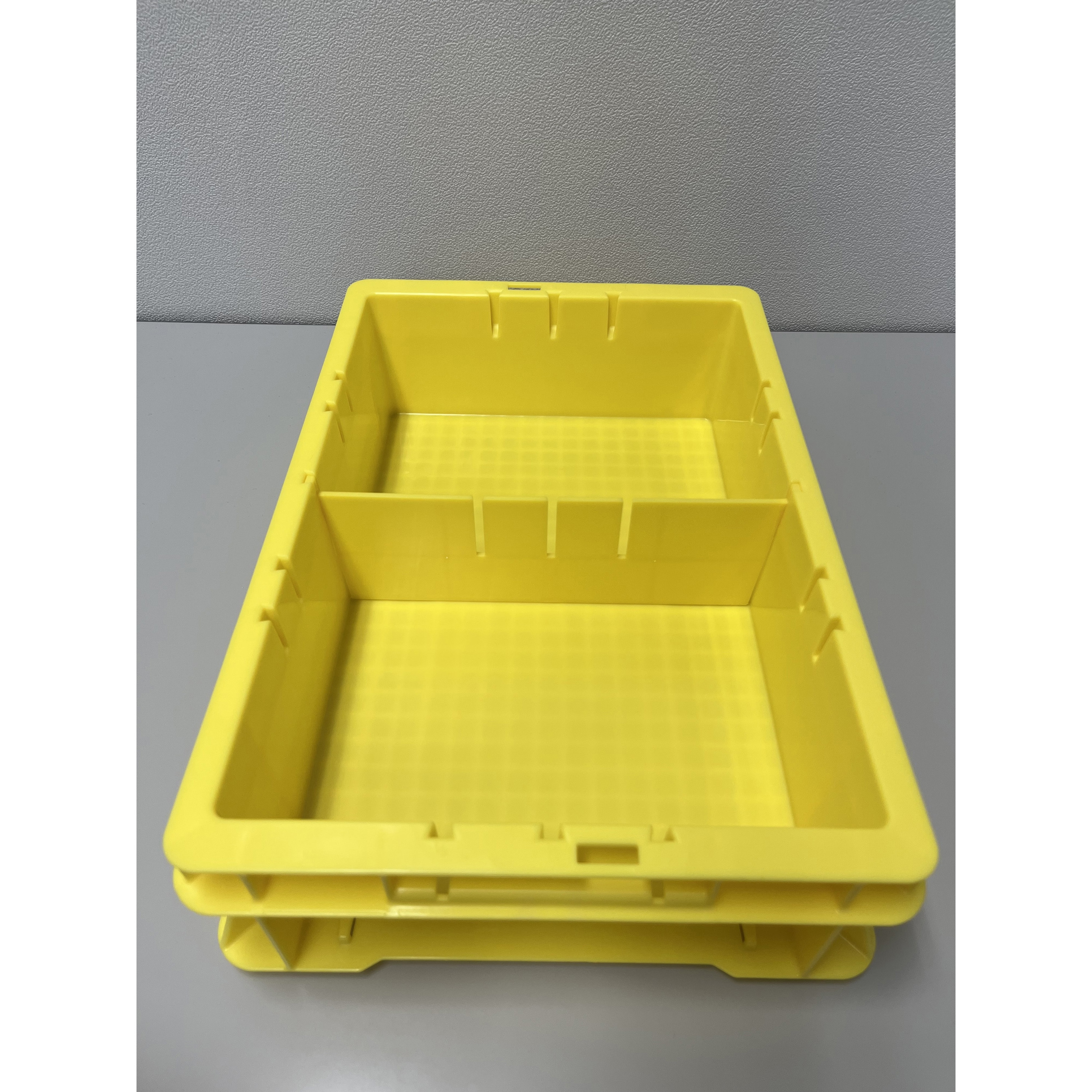 希少 超人気] ファティーコンテナーズ Lサイズ 美品