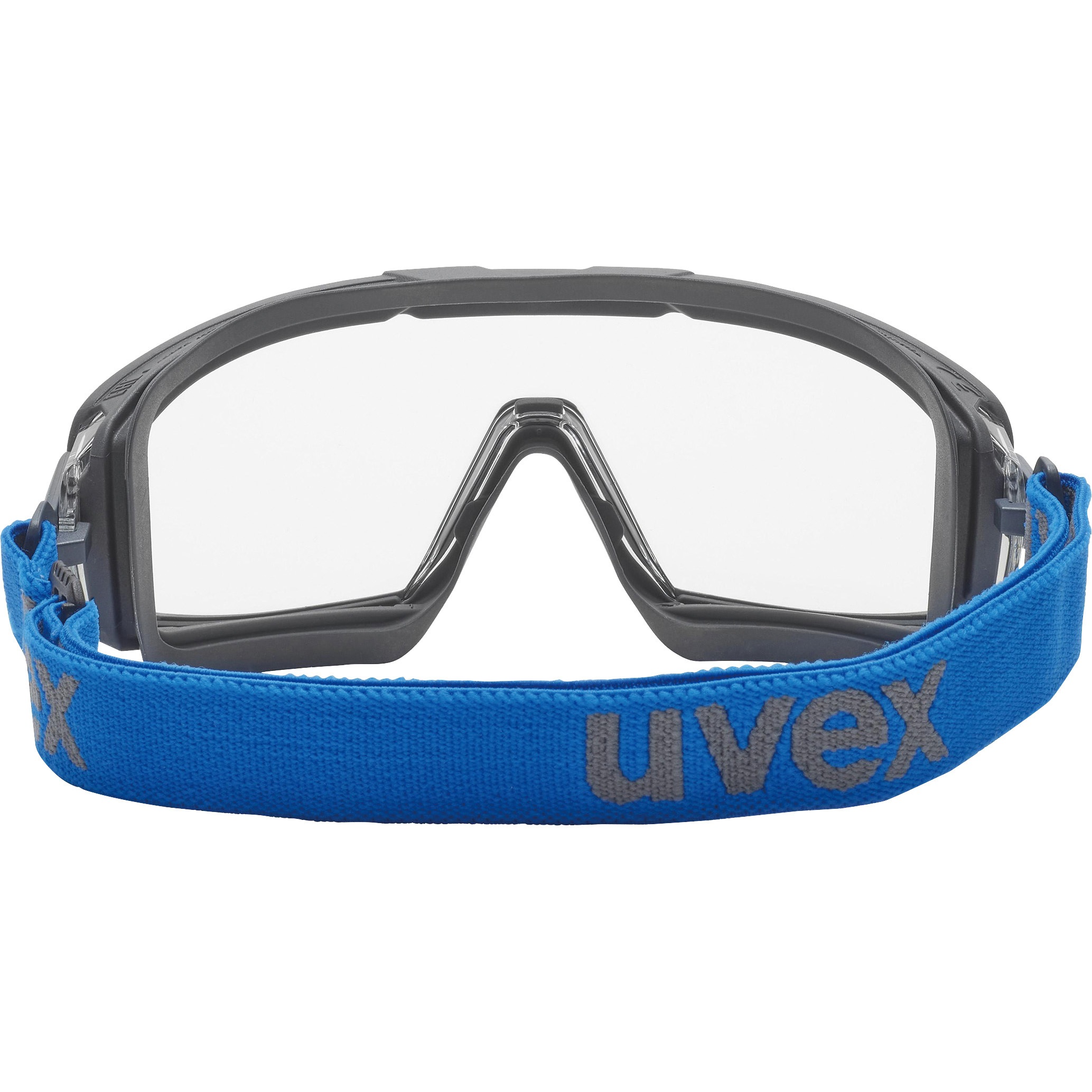 Snow Goggles – Volcom Japan