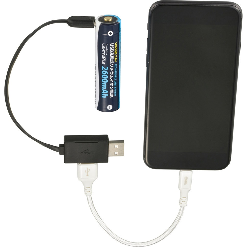BTJ-1865026-LIT USB充電式リチウムイオン電池 18650形 1個 オーム電機