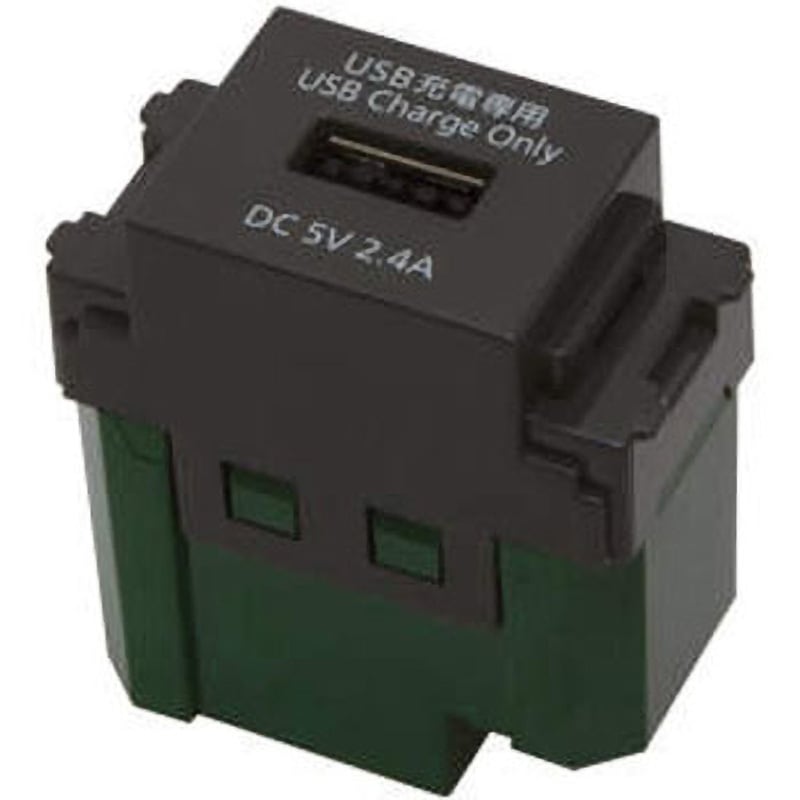 DM1-WN1485H 埋込充電用USBコンセント LAMP(スガツネ工業) AC100V