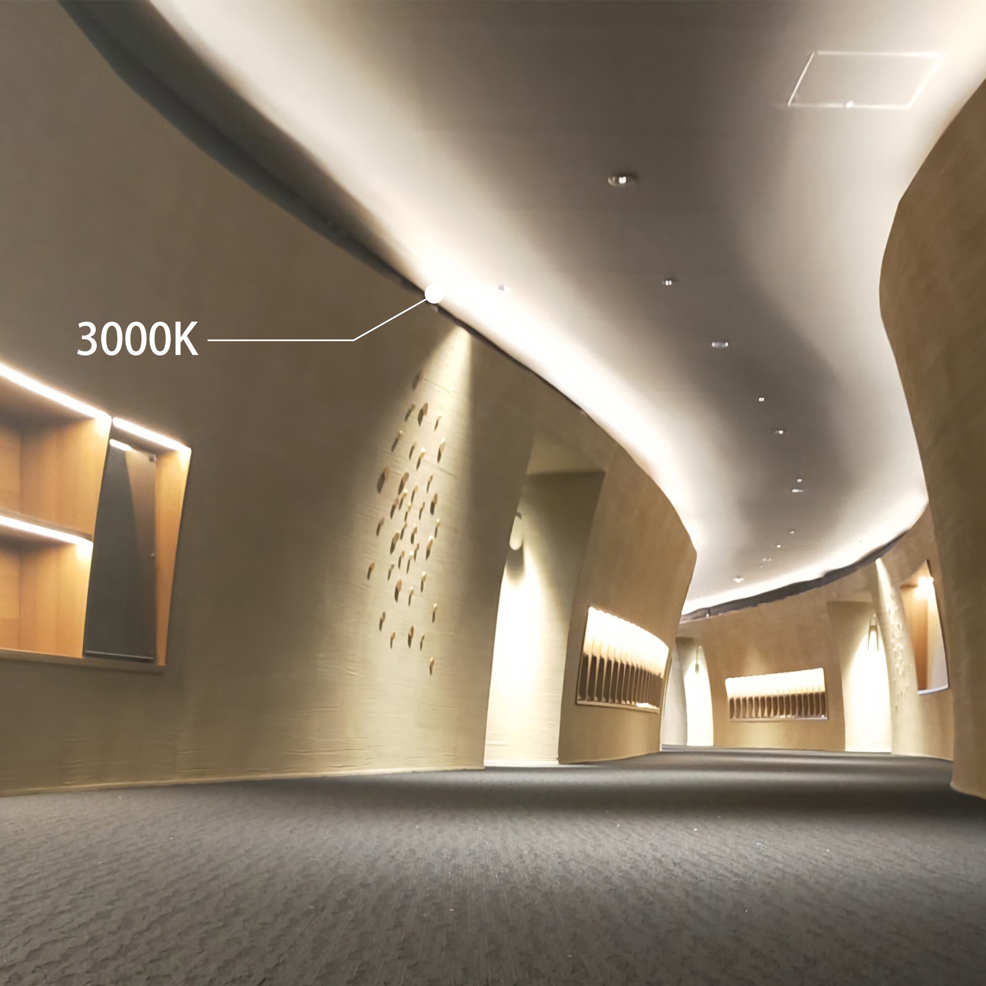 トライト LEDテープライト Viewdi Plus 16.6mmP 5000K 5m巻 ACアダプター付 トライト TLVD50216.6P5AD 工事 照明用品 作業灯 照明用品 照明器具 代引不可 : トライト LEDテープライト Viewdi Plus DC24V 16.6mmP 2700K5m巻  TLVD+272-16.6P-5 : ホーム＆キッチン