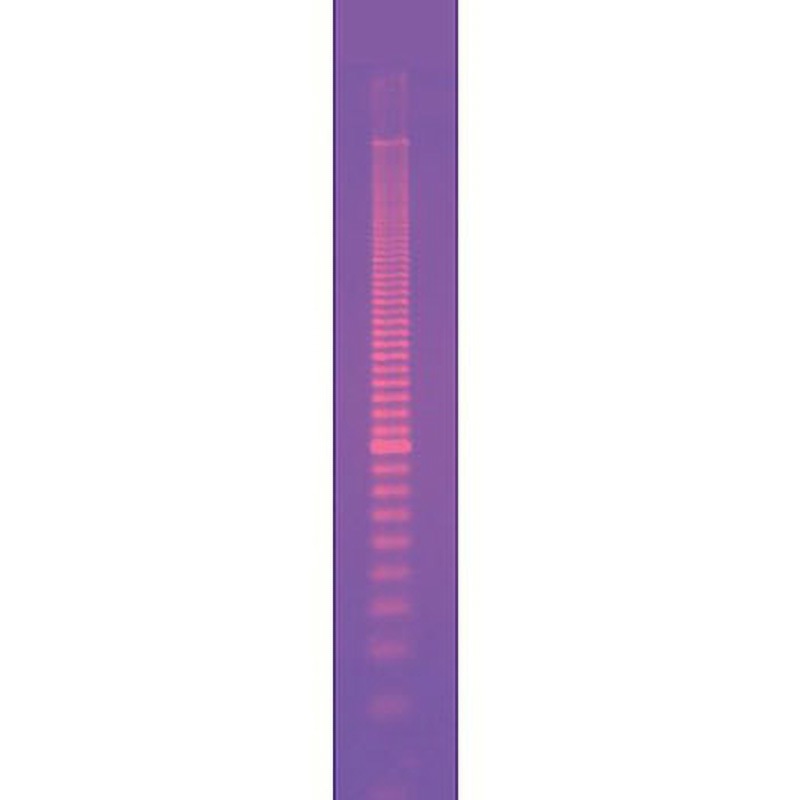 1708201 DNAサイズスタンダード BIORAD 冷蔵 種別Molecular Ruler 20bp  1本