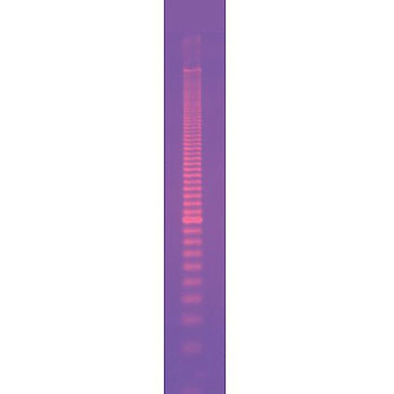 1708351 DNAサイズスタンダード BIORAD 冷蔵 種別EZLoad Molecular Ruler 20bp  1セット