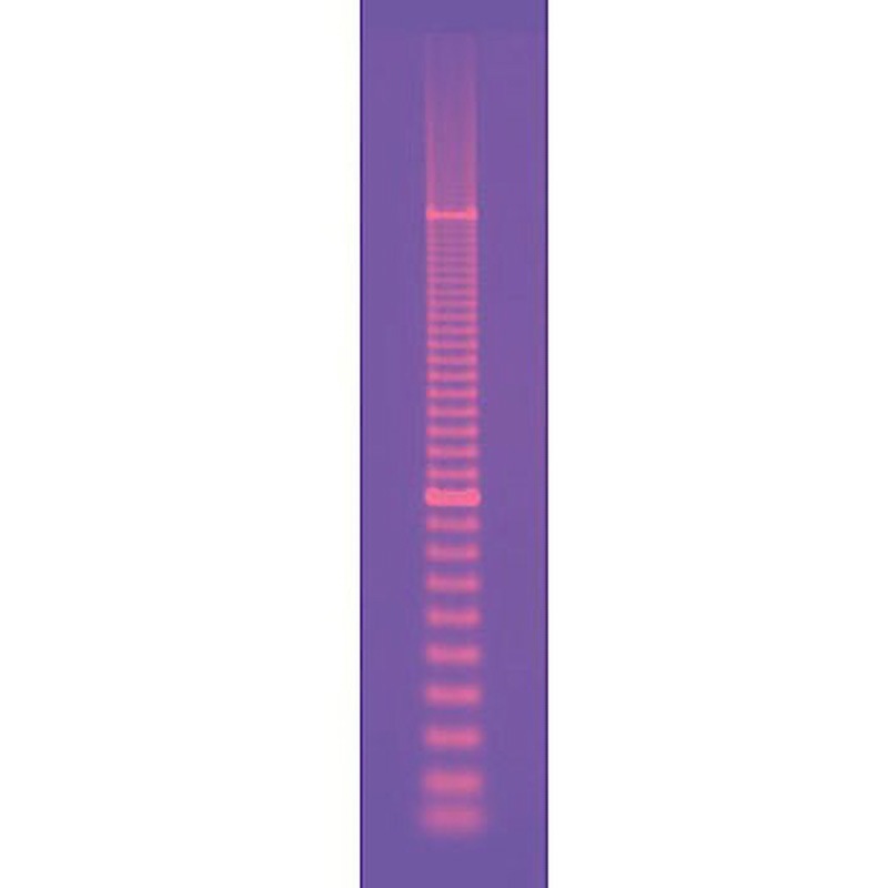 1708353 DNAサイズスタンダード BIORAD 冷蔵 種別EZLoad PCR Ruler 100bp  1箱