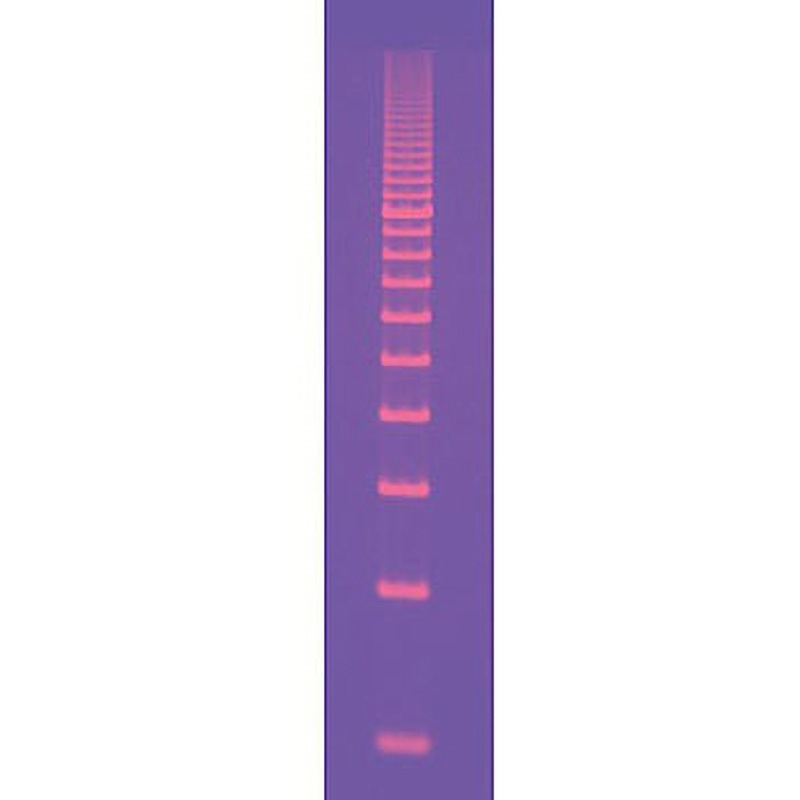 1708354 DNAサイズスタンダード BIORAD 冷蔵 種別EZLoad Molecular Ruler 500bp  1箱