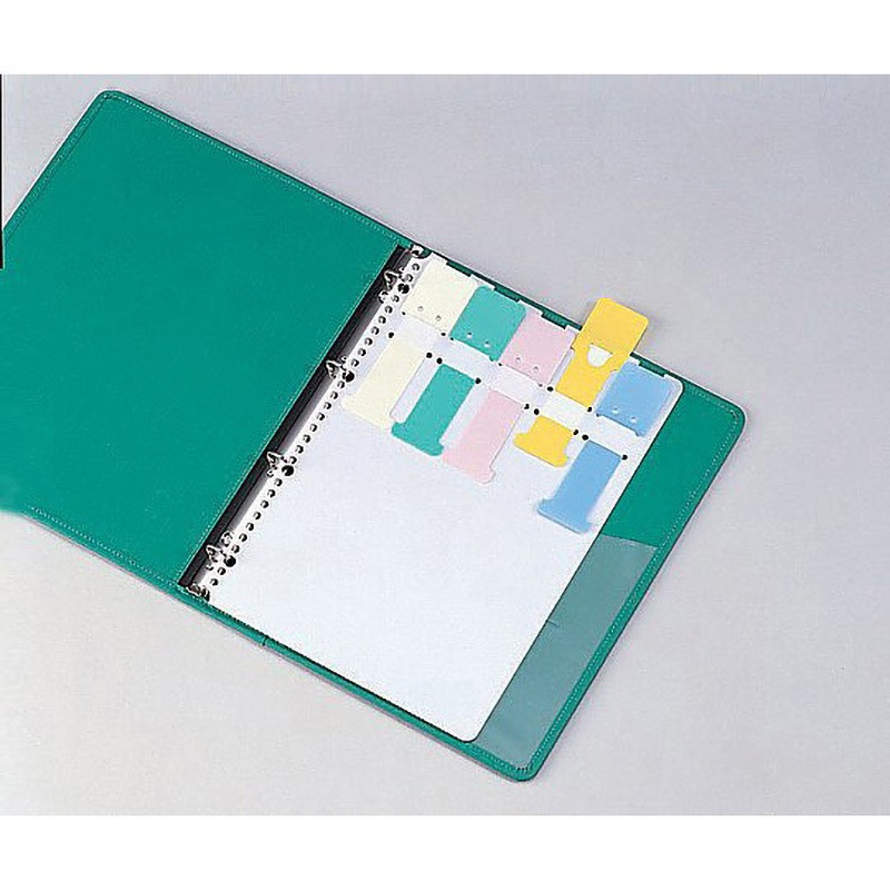 SK-455 カラーシグナル A4、2・4・30穴 10枚入 1袋(10枚) サンリーフ 【通販モノタロウ】