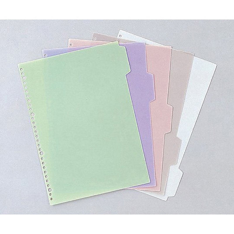 SK-460 カラーインデックス A4、2・4・30穴 サンリーフ 1袋(10組) SK-460