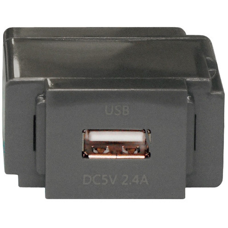 N-USB0241GR 組替式USBコンセント ノア[照明] 口数1 長さ50.6mm N