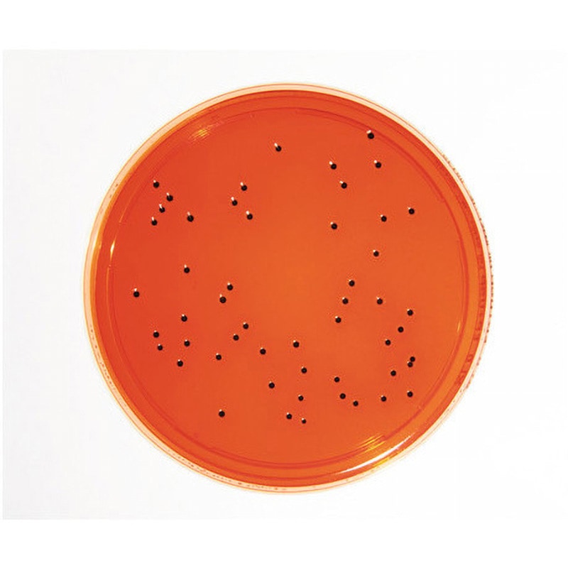 1.46073.0020 特定微生物試験培地 Merck(メルクミリポア) 種別XLDアガー (30mL×20枚入) 7,998円