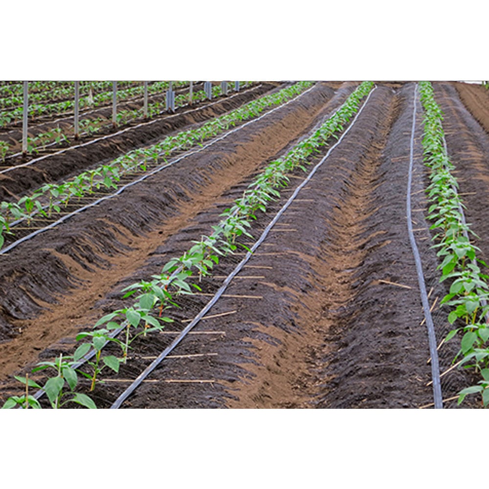 WB9020 ネオドリップ ヨコシタ 住化農業資材 1巻(200m) WB9020