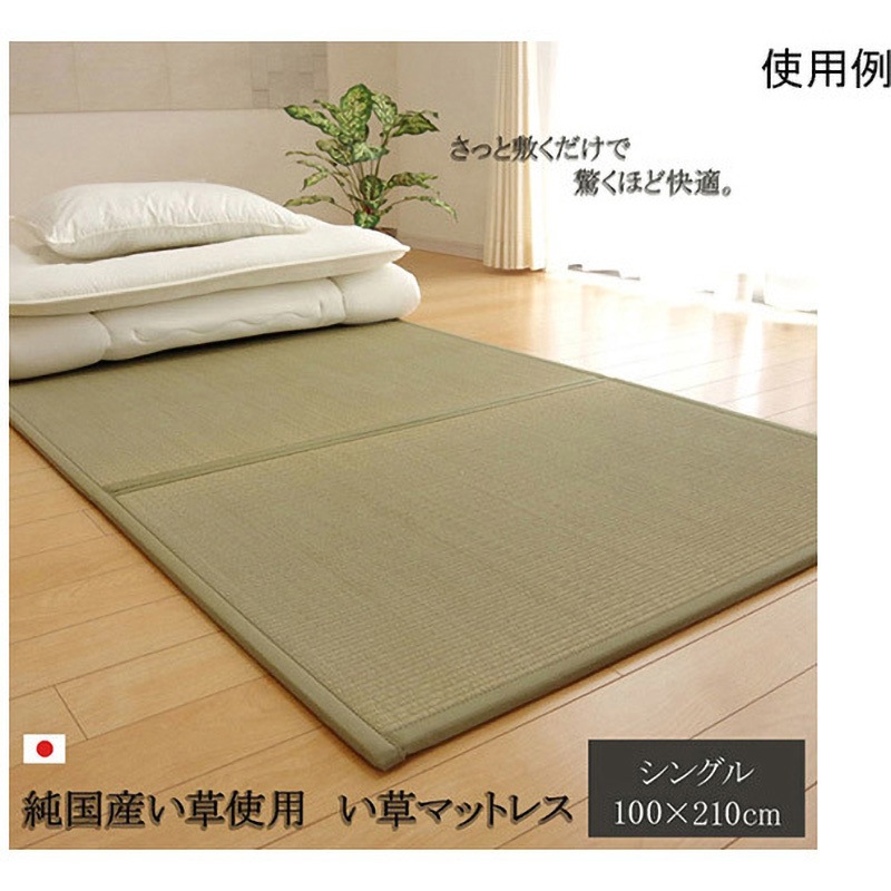 1110830011738 マットレス シングル 三つ折り い草 置き畳 国産 『い草マットレス』 約100×210cm 裏：不織布 1個 アズワン 【通販モノタロウ】