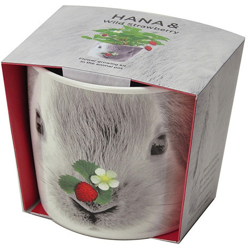 GD-85801 ハナ&アニマルズ GDシリーズ 1個 聖新陶芸 【通販モノタロウ】