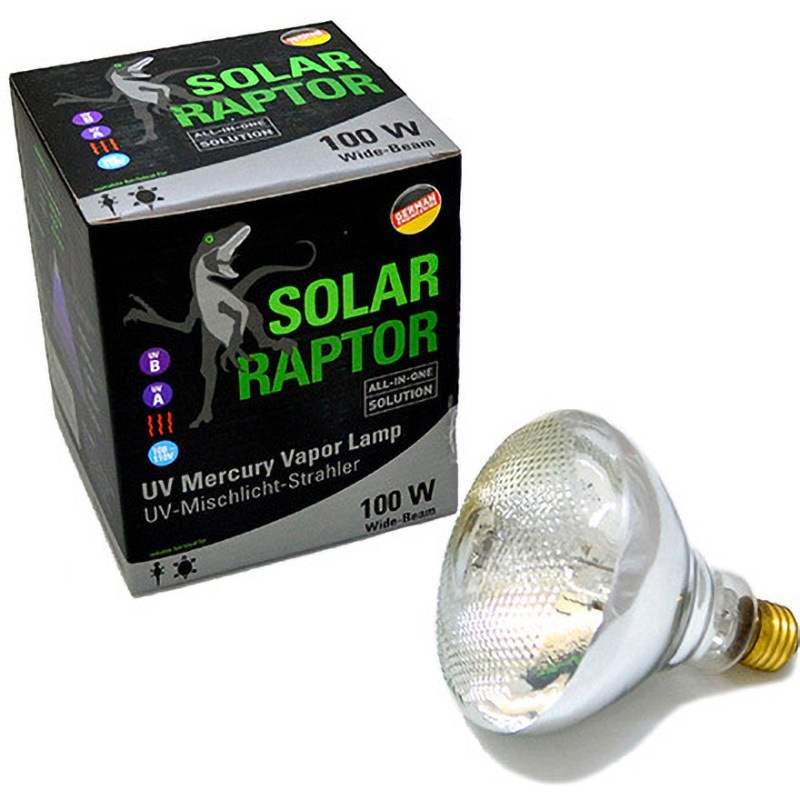 ソーラーラプター　SOLAR Raptor UV 50W メタハラ　本体 ソーラーラプターHIDランプ50W ゼンスイ 爬虫類用メタハラ 販売 通販
