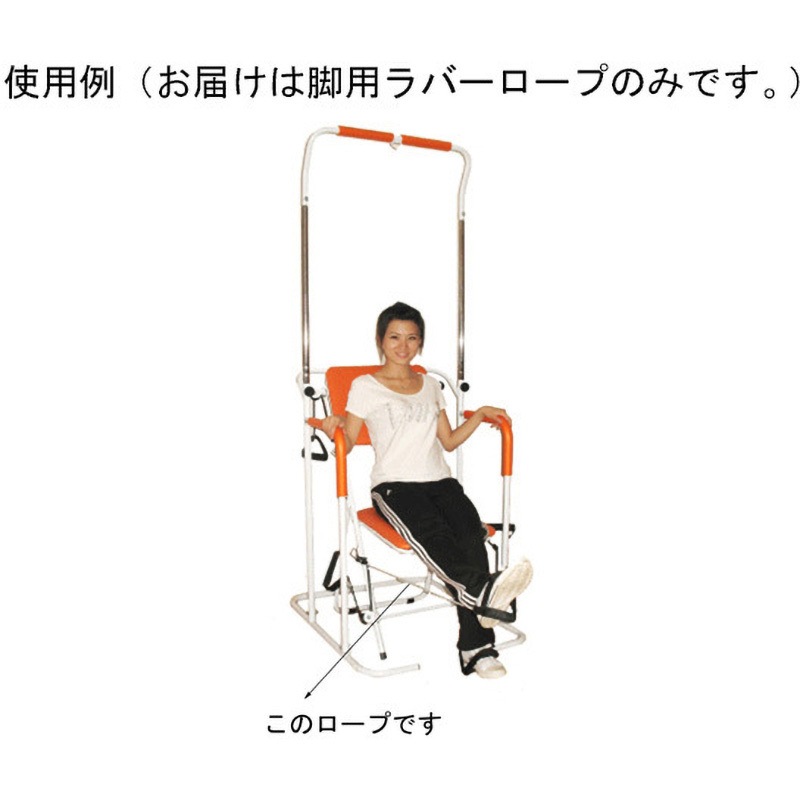 ヤマトヒューマン(YAMATO-HUMAN) マルチホームトレーナー YMHT-250