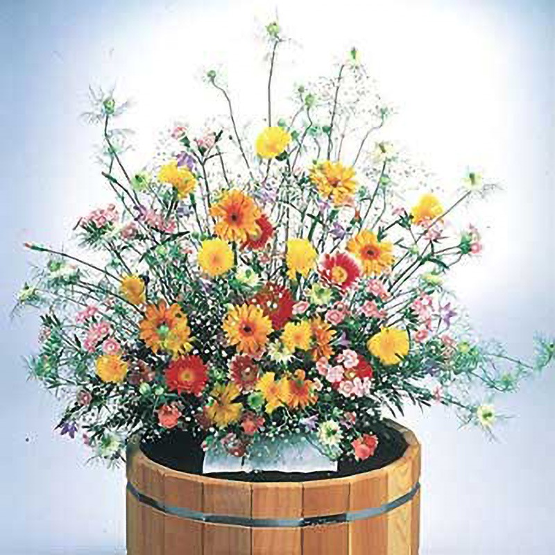 A-28193 【タネ】花 種 フラワリーランド 2パック アーネスト 1セット