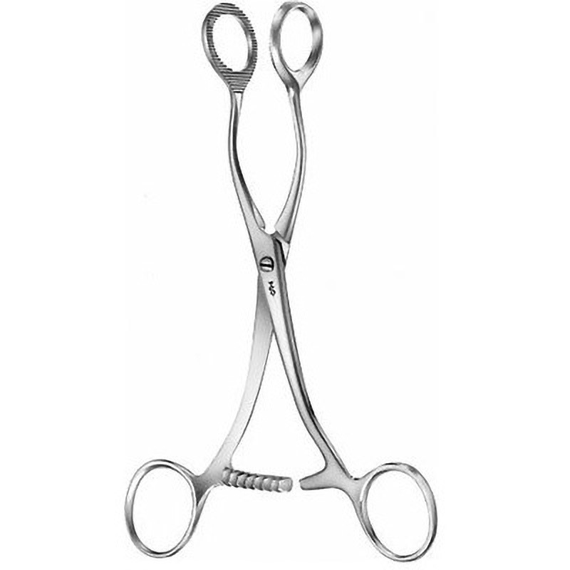 AN709R 舌鉗子 コラン 全長17cm 1個 ビー・ブラウンエースクラップ 【通販モノタロウ】