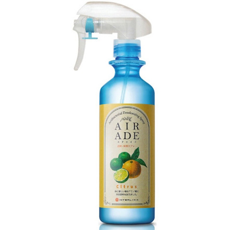 0206-AA0303 AIR ADE エアエイド インターリンクス 内容量300mL