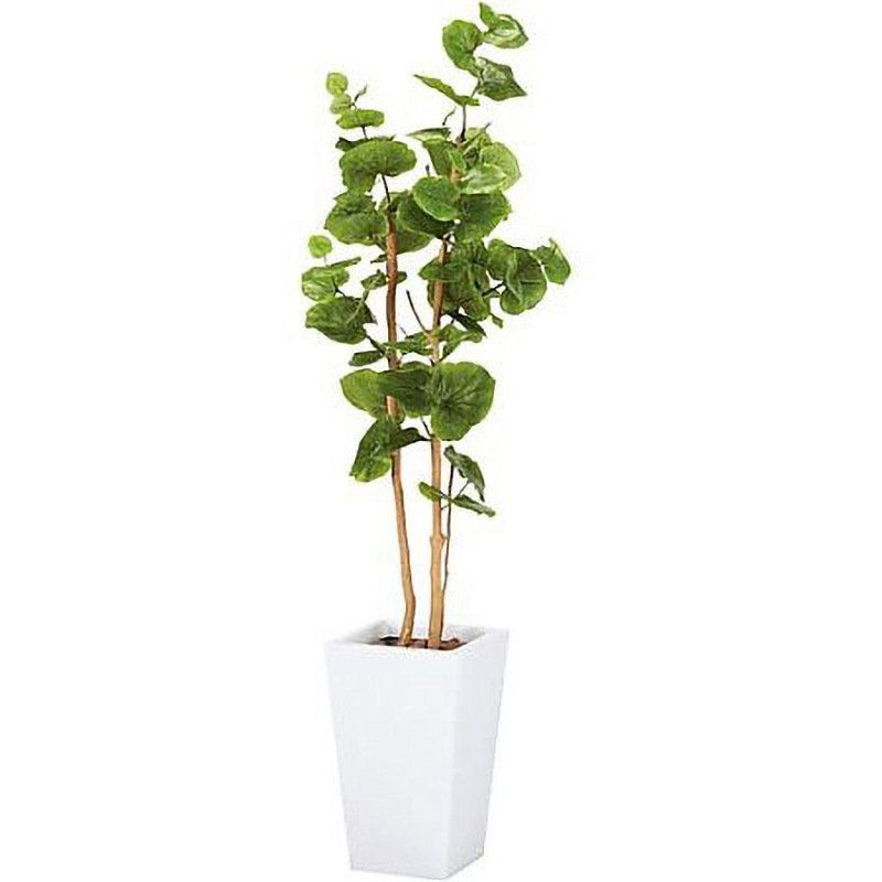 642KU-014 人工植物 シーグレープ鉢ホワイト 高さ1500 光触媒 1個 アートクリエイション 【通販モノタロウ】